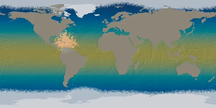 Animated map of the first 15 days, floating case